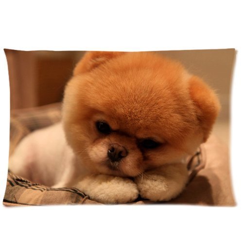 Boo The Dog Pet Dog Custom Pillow Cases Covers Standard Size Pillowcase 20