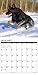 2016 Just German Shepherds Wall Calendar