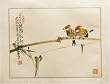 Chinese Sumi-e Brush Painting Art, Watercolor on Paper - Two Magpies on Branch (brown) "Love Birds"