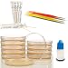 Evviva Sciences Microbiology Science Project Kit, Pre-Poured Agar Plates for Students, Agar Petri Dishes to Learn Microbiology, with Educational Experiment eBook