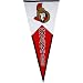 Winning Streak Sports Ottawa Senators Team Pennant