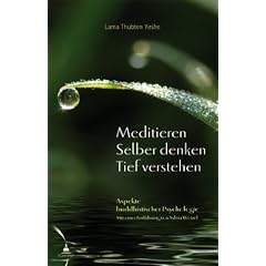 Meditieren. Selber denken. Tief verstehen: Aspekte buddhistischer Psychologie