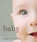 Baby: A Portrait...