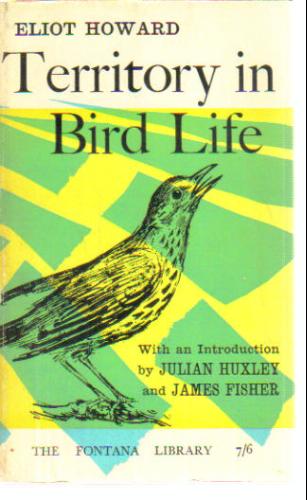 Territory in Bird Life