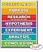 SCIENTIFIC METHOD FRIENDLY CHART