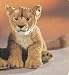 Plush Lion 18