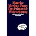 Das Primat der Wahrnehmung (suhrkamp taschenbuch wissenschaft)