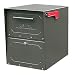 Architectural Mailboxes Oasis Jr. Mailbox, Bronze