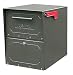 Tools & Hardware : Architectural Mailboxes Oasis Jr. Mailbox, Bronze