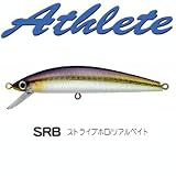 ���㥯����(Jackson) �����꡼�� �ߥΡ� 9S SRB