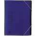 Elba B�rosysteme 42496BL F�chermappe Ordnungsmappe chic, Karton (RC), 450 g/qm, A4, 12 F�cher, blau