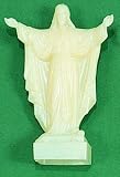 7 inch Sacred Heart Shrine - 5 Pack