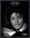 Michael Jackson Mini Poster and Frame (Aluminium) - Commemorative I (20 x 16 inches)