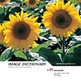 �C���[�W �f�B�N�V���i���[ Vol.85 �� (2)