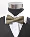 Geometric Classic Silk Banded Bowtie, 1 Metal Gold