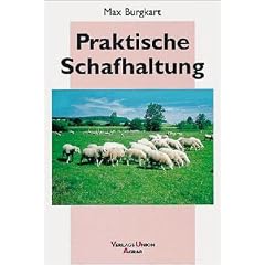 Praktische Schafhaltung