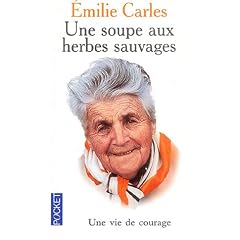 Une soupes aux herbes sauvages