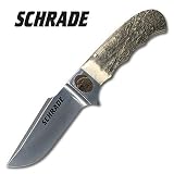 Schrade SHD2EST Stag Bronze Eagle Shield