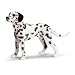 Schleich 16346  - Bauernhof, Dalmatiner R�de