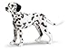 Schleich Male Dalmatian