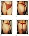 Book Andy Warhol: Ladies & Gentleman, Sex Parts, Torsos, Polaroids