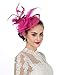 SAFERIN Fascinators Hat Flower Mesh Pillbox Feathers Pillow Sinamay on a Headband and a Clip Show Cocktail Wedding Tea Party Headwear for Girls and Women (TA4-Fuchsia)