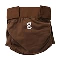 gDiapers Got Chocolate Little gPants