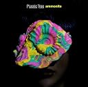 アンモナイト(初回限定盤)(DVD付)(在庫あり。)