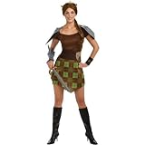 Rubie?s Costume Co Shrek Fiona Warrior Costume, Green, Medium