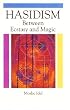 Hasidism (Suny Series in Judaica : Hermeneutics, Mysticism, and Religion)