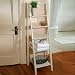 Kitchen & Housewares : 5-Tier Ladder Shelf