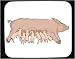 Mouse Pad with domestic, sugga, swine, piglets, nursing, suckling, domesticated, offspring, barnyard, pig, livestock, sow, animal