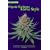 Organic Marijuana, Soma Style: The Pleasures of Cultivating Connoisseur Cannabis (Marijuana Tips)