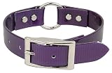 Sunglo Ring-In-Center Style Collars - 3/4 in. x 20 in. - Purple