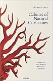 Albertus Seba: Cabinet of Natural Curiosities