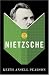 How to Read Nietzsche (How to Read)