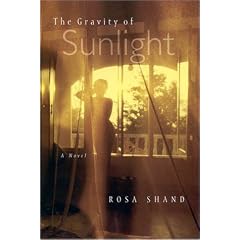 Gravity of Sunlight