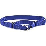 Premier Nylon Martingale Collar - Medium - Blue