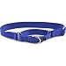 Premier Nylon Martingale Collar - Small - Blue