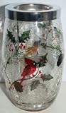 Yankee Candle Winter Bird Crackle Glass.