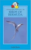 A Field Guide to the Birds of Bermuda (Caribbean Pocket Natural History)