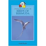 A Field Guide to the Birds of Bermuda (Caribbean Pocket Natural History)