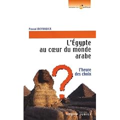 L'Egypte au coeur du monde arabe : L'heure des choix