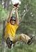 Sporting Goods : Fun Ride