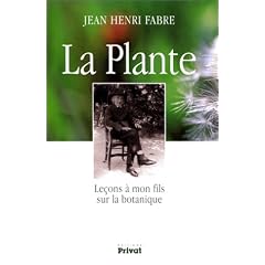 La Plante