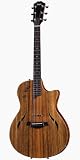 Taylor Guitars T5-X Acoustic Electric Guitar