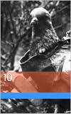 10author- mrd@ johnjohn
