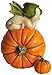 Top Collection 4199 Fairy Baby on Orange Pumpkin Figurines