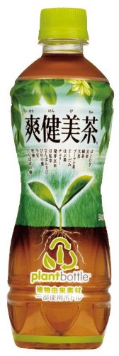 (お徳用ボックス) 爽健美茶 500ml×24本