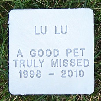 Pet Memory Stone - Small